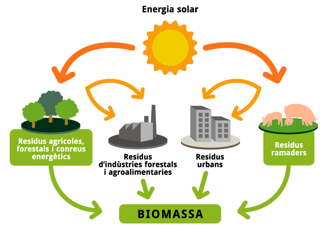 Summary Of Energi Biomassa Kelas B