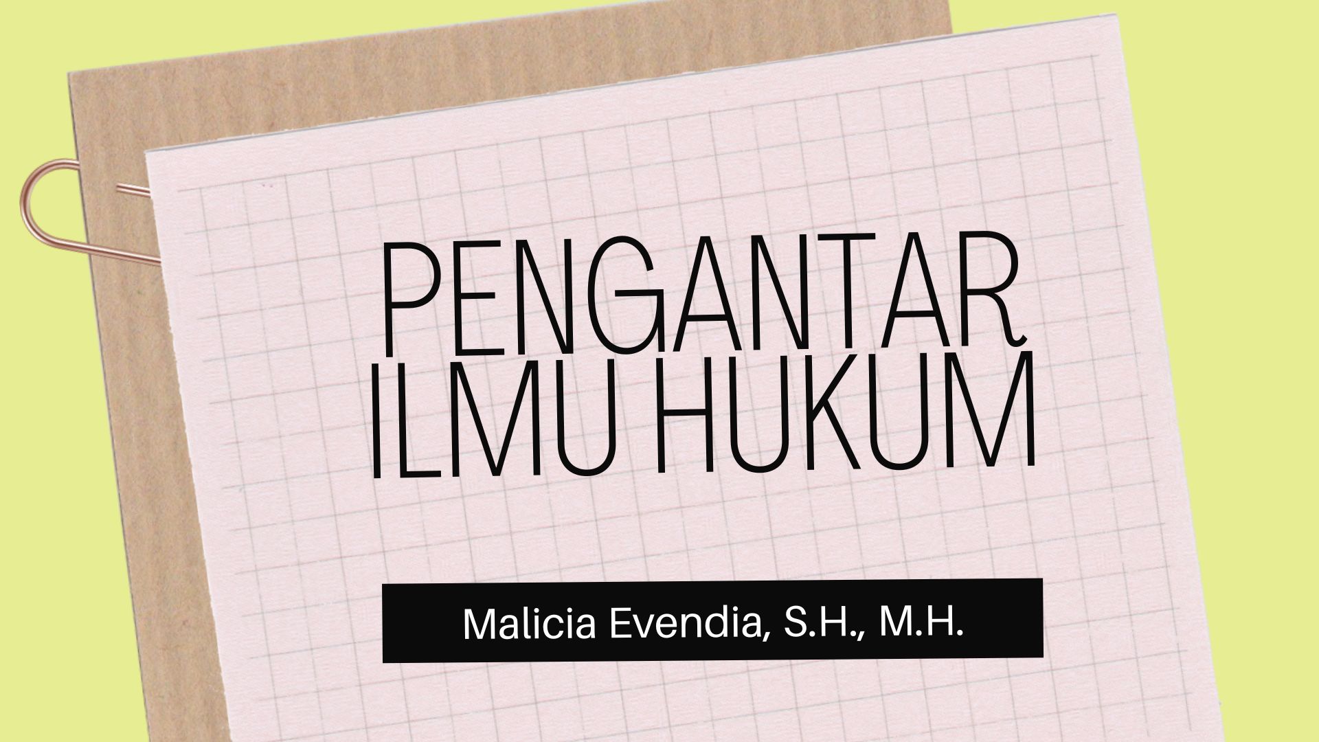 Pengantar Ilmu Hukum 2022 (Malicia Evendia)