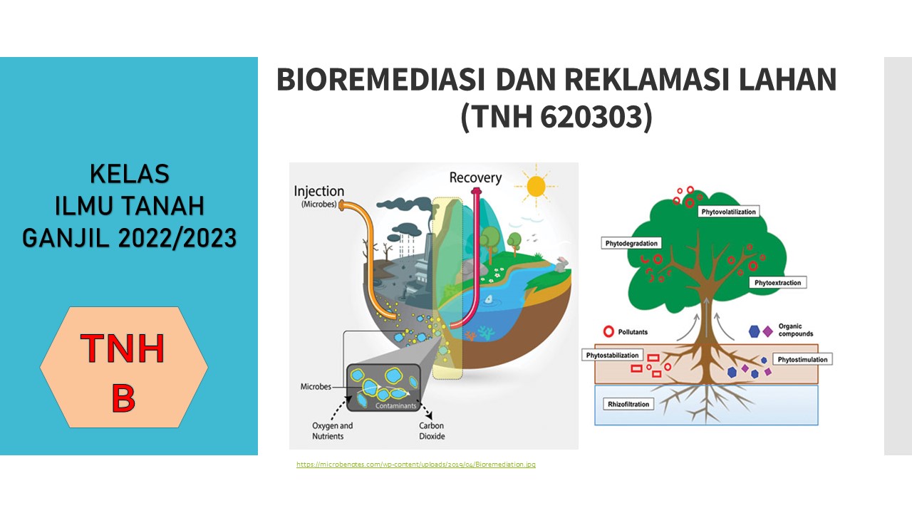 PSIT_BIOREMEDIASI DAN REKLAMASI LAHAN_KELAS TNH B_GANJIL 2022/2023