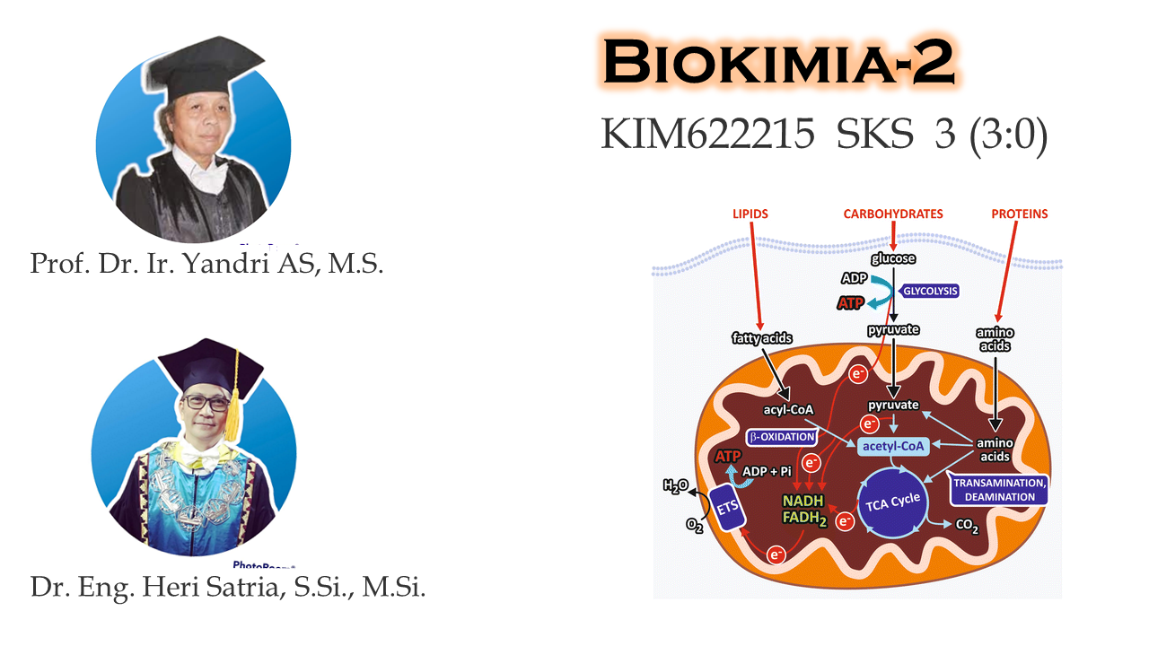 Biokimia II Kelas A S1