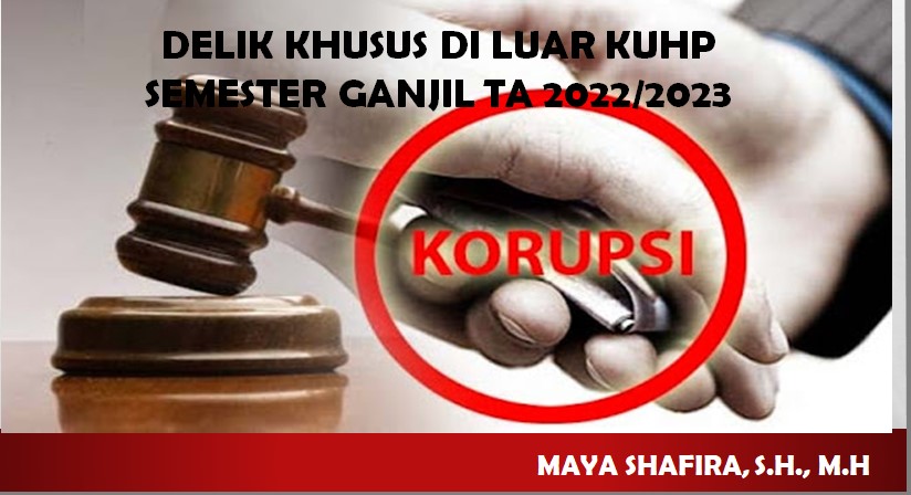 FH_S1_DELIK KHUSUS DI LUAR KUHP_KELAS D2.4_GANJIL_2022-2023