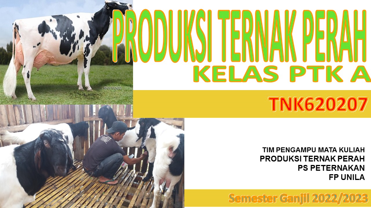 PRODUKSI TERNAK PERAH KELAS PTK A