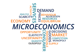 Teori Ekonomi Mikro II