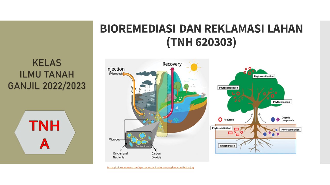 PSIT_BIOREMEDIASI DAN REKLAMASI LAHAN_KELAS TNH A_GANJIL 2022/2023