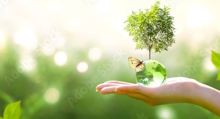 Ekologi Manusia Semester Ganjil 2022/2023