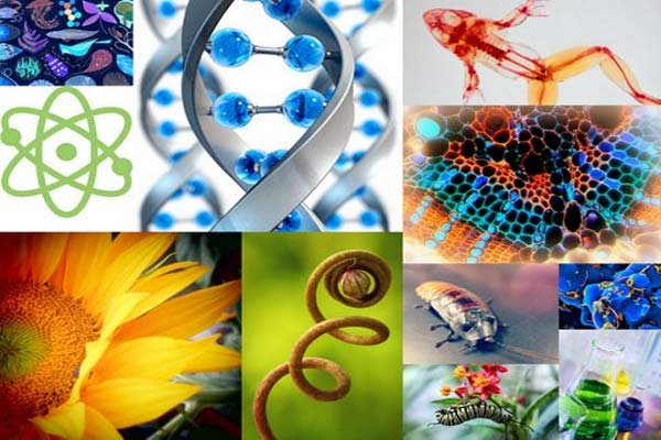PGSD_KONSEP DASAR IPA BIOLOGI_Kelas A_2022/2023