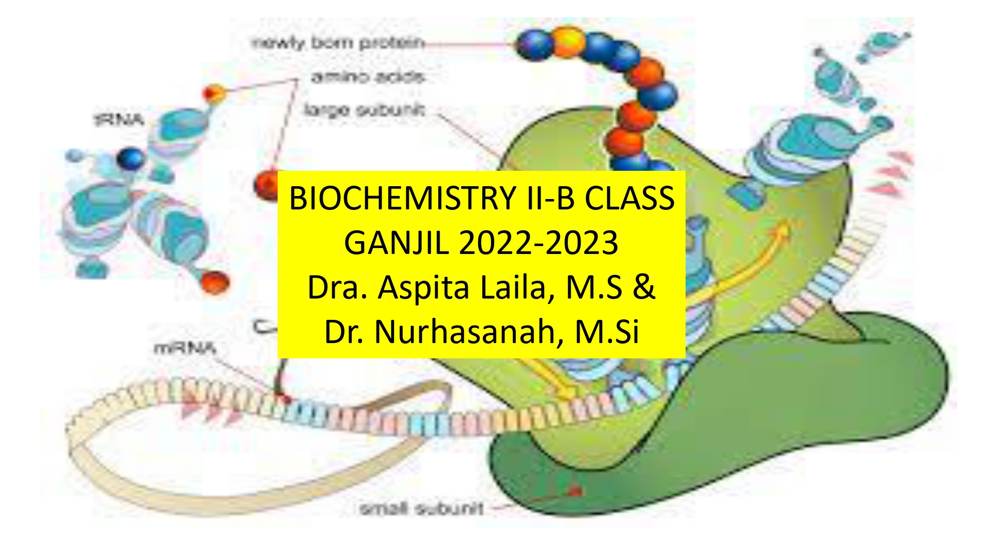 Biochemistry-IIB Ganjil 2022/2023