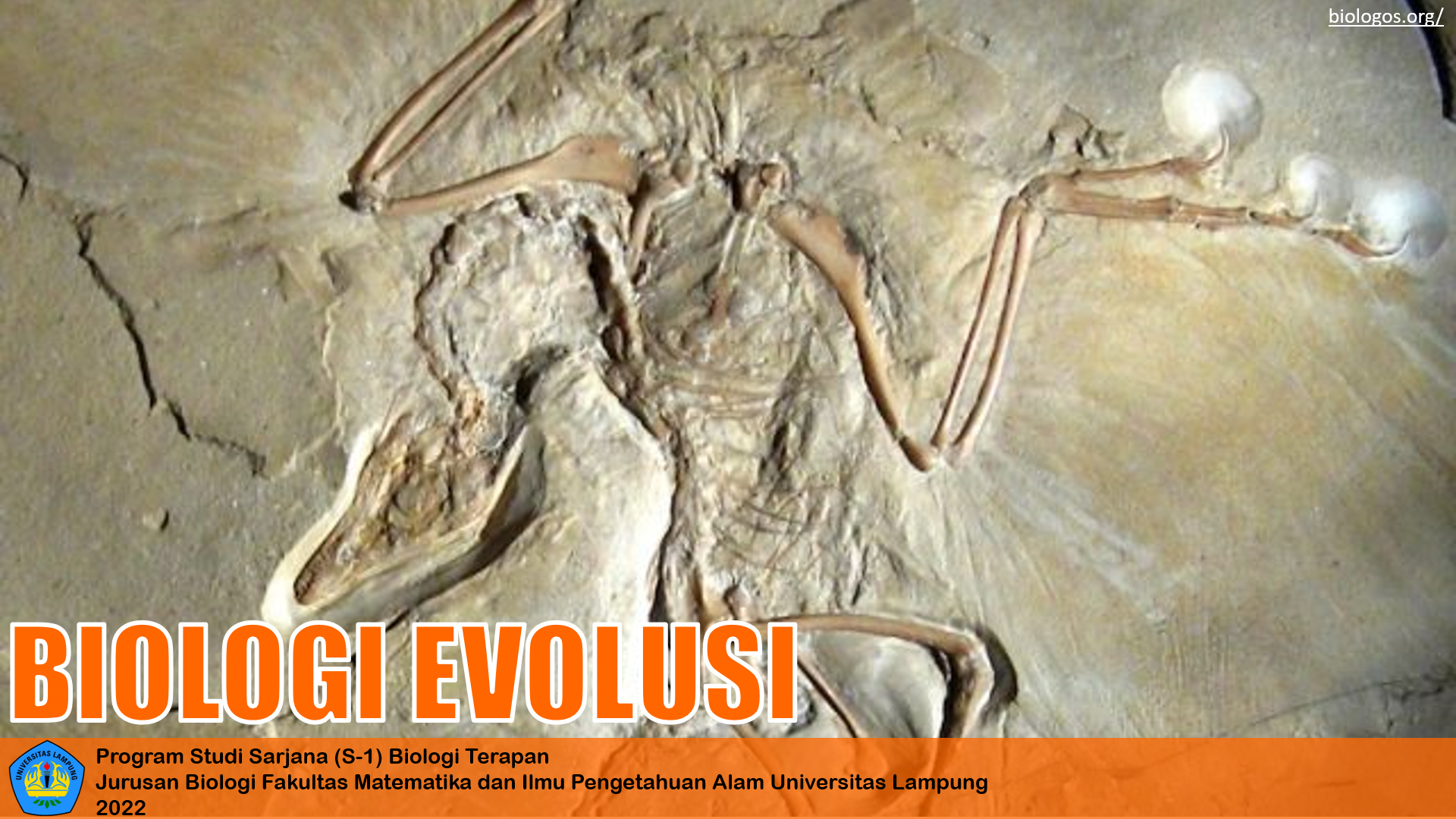 BIT620303 - Biologi Evolusi 