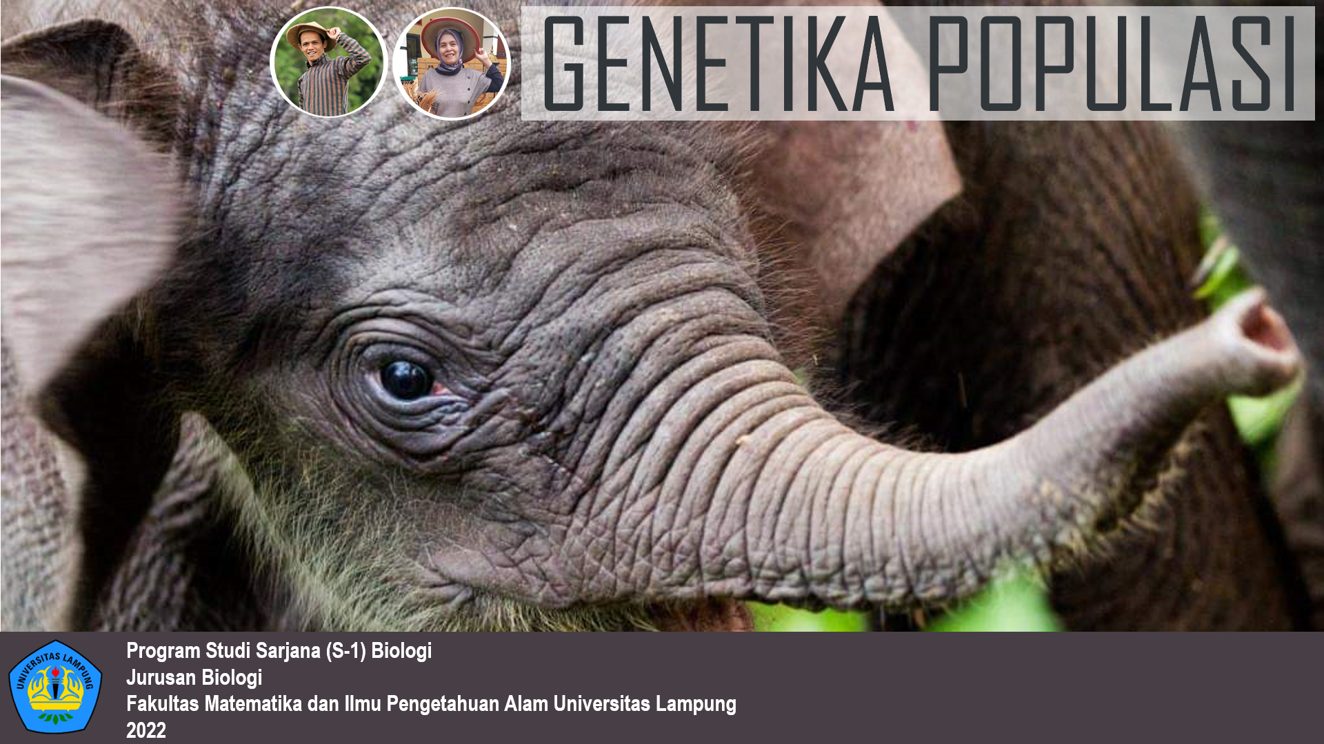 BIO620404 - Genetika Populasi