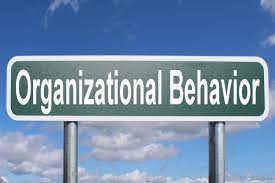 MGT International ; Organizational Behavior; Ganjil 2022/2023