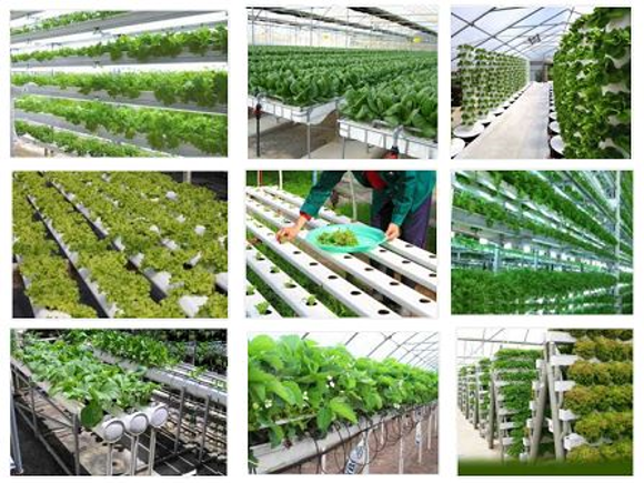 AGT_Budidaya Nirtanah