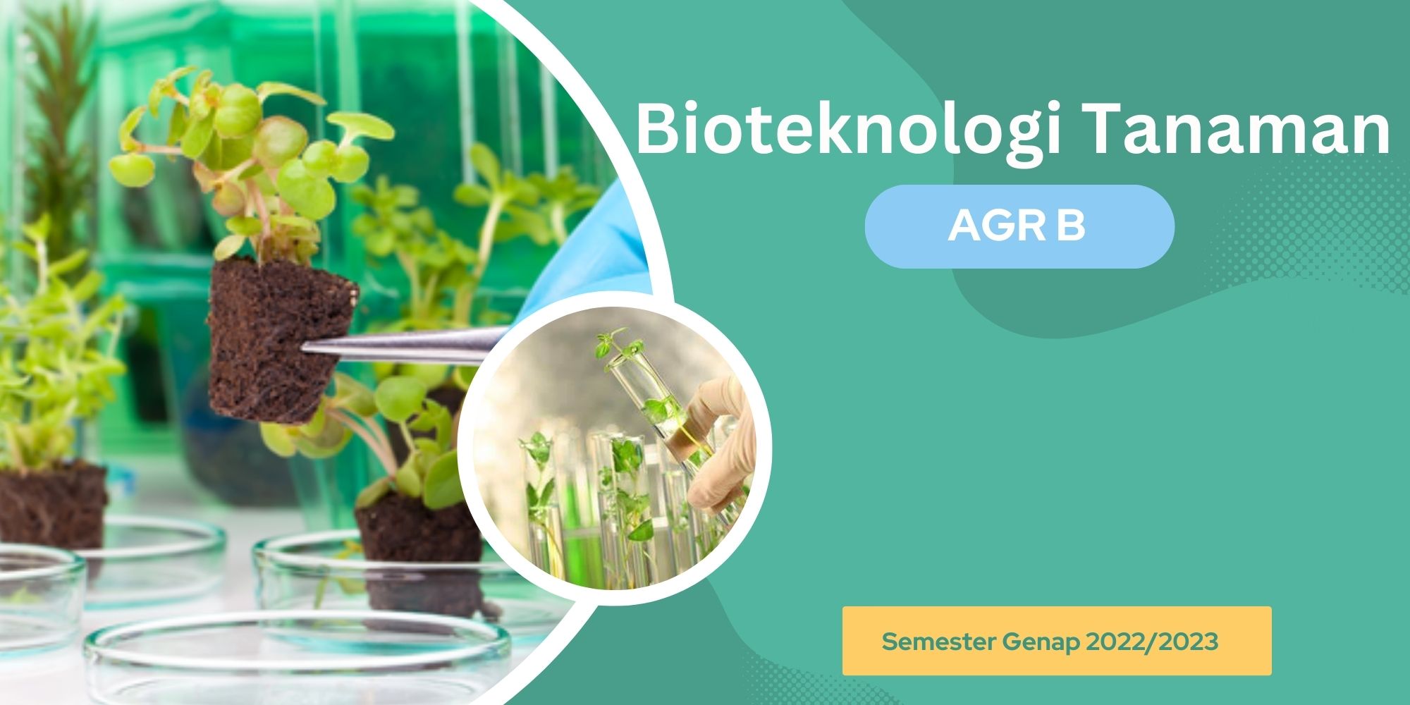 Bioteknologi Tanaman AGR B Genap 2022/2023