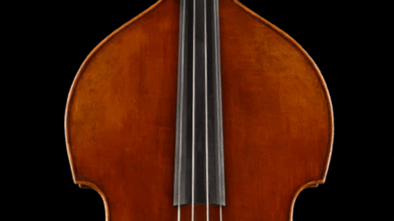 Instrumen Mayor II Kontra Bas