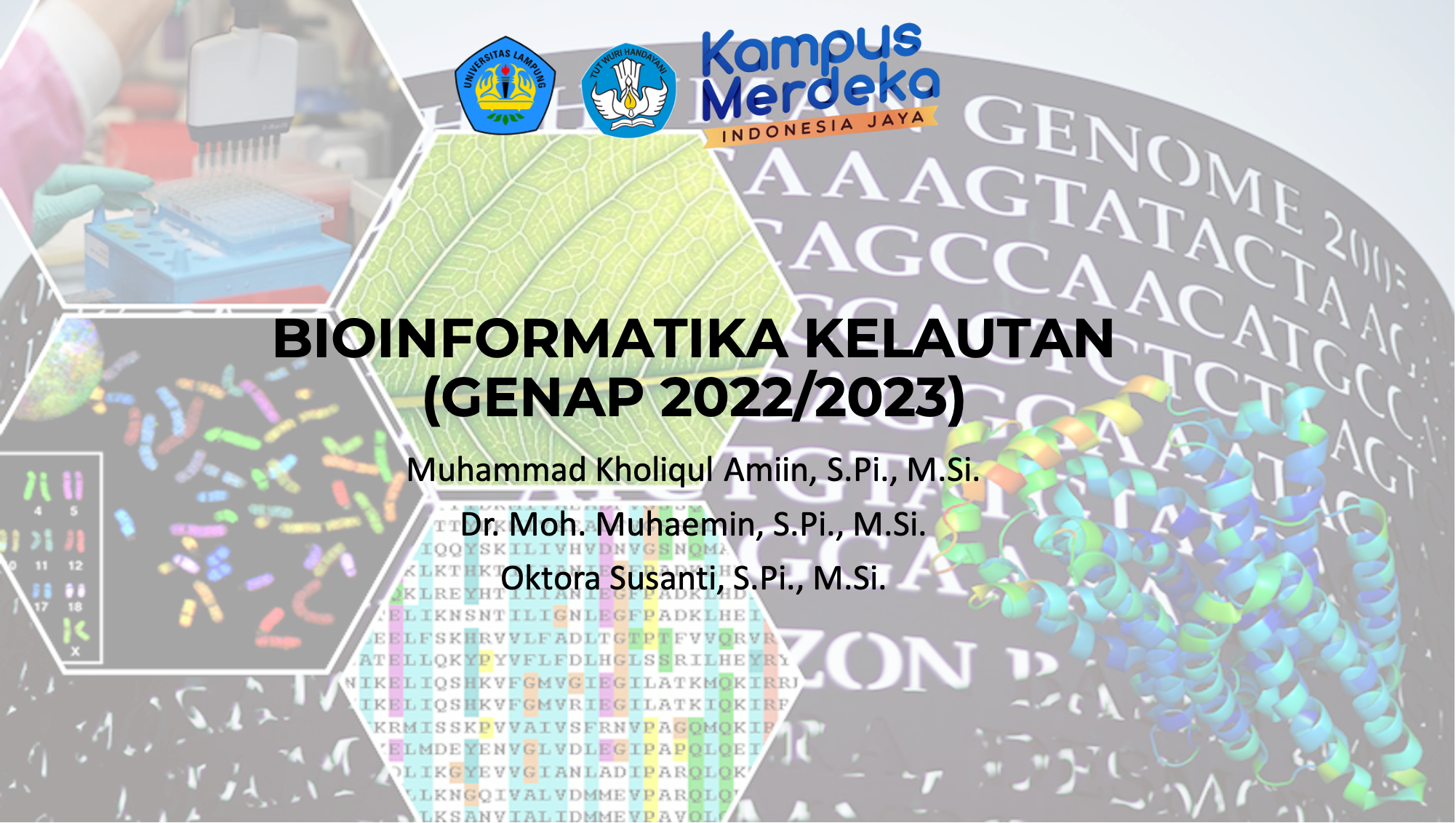 MBKM_PIK_BIOINFORMATIKA KELAUTAN_SEMESTER GENAP 2022/2023