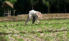 USAHATANI PPN B GENAP 22/23