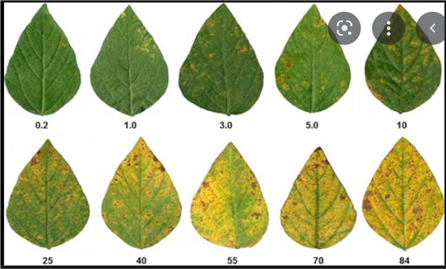 PTN Karantina Tumbuhan_Genap 2022/2023