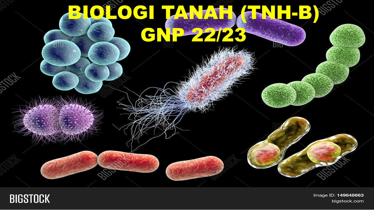 BIOLOGI TANAH (TNH-B) GENAP 22/23