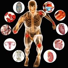 Integrated Physiology Of Human Body A, Genap 2022/2023