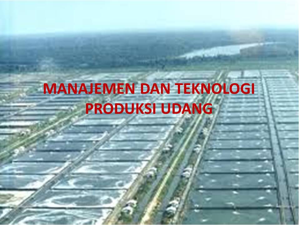 MBKM_Manajemen dan teknologi Budidaya Udang dan Lobster genap 2022/2023