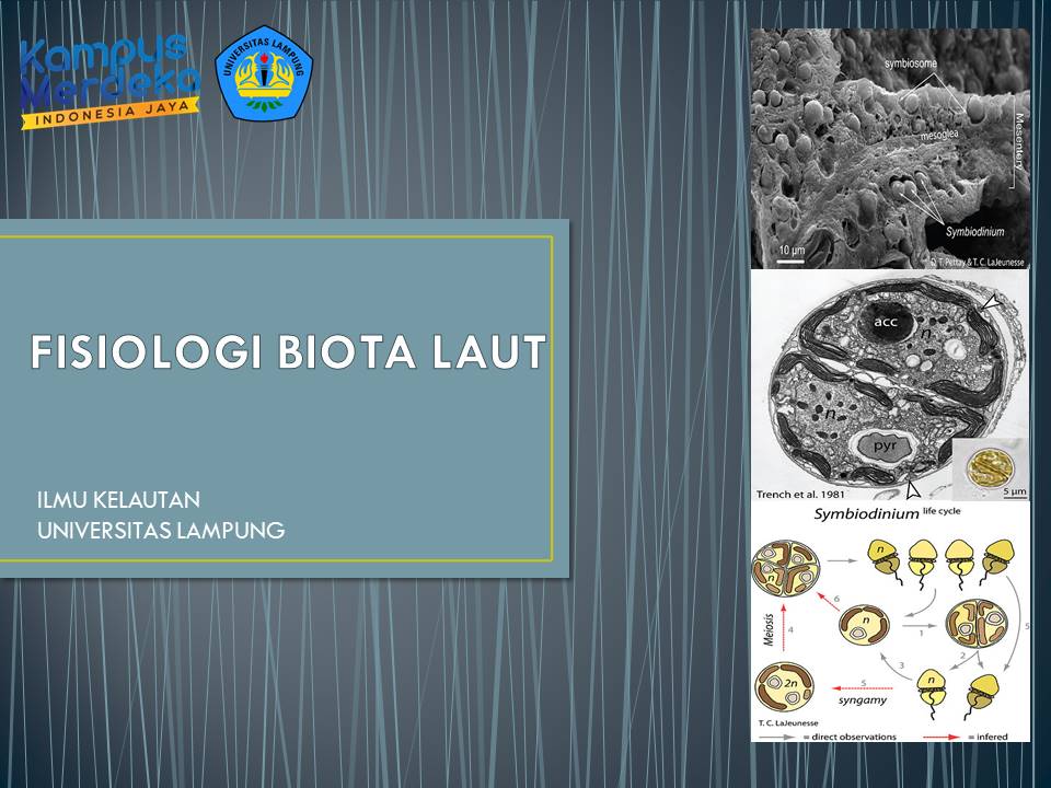 IKL_Fisiologi Biota Laut_Genap 22/23