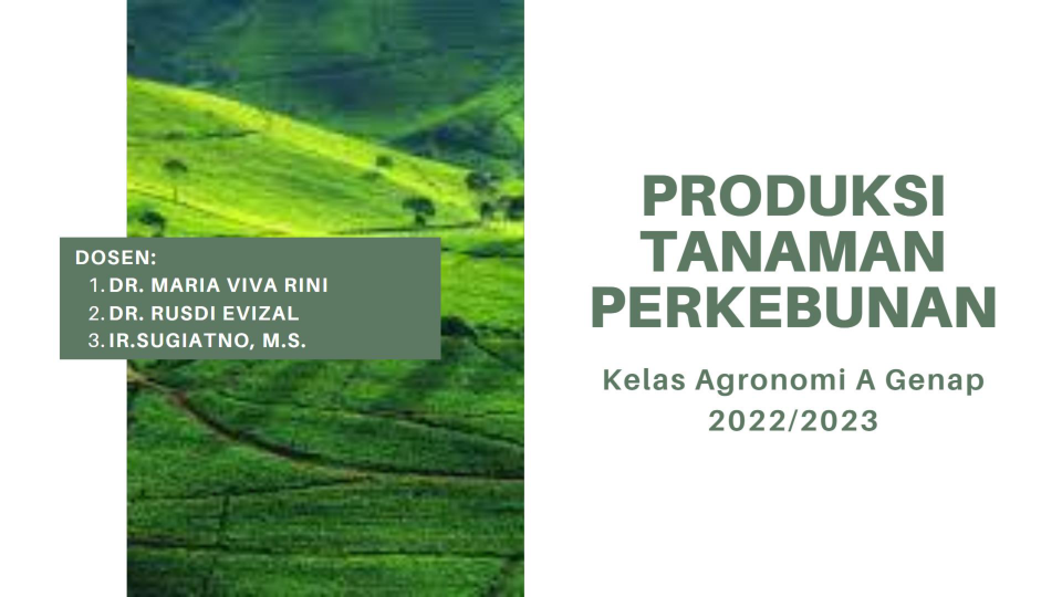Produksi Tanaman Perkebunan