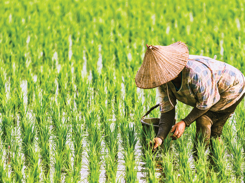 USAHATANI AGRIBISNIS B GENAP 2022/2023