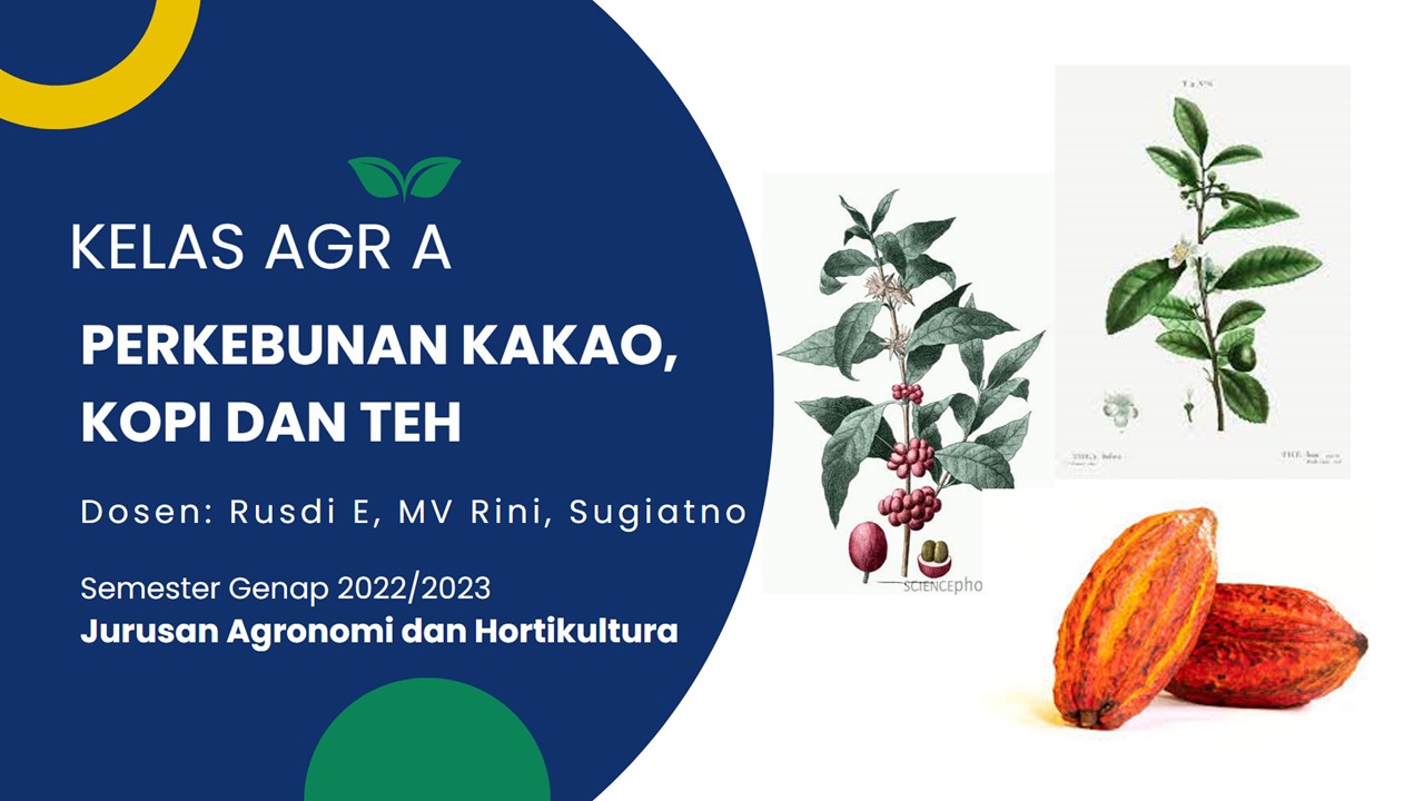 PERKEBUNAN KAKAO, KOPI, DAN TEH