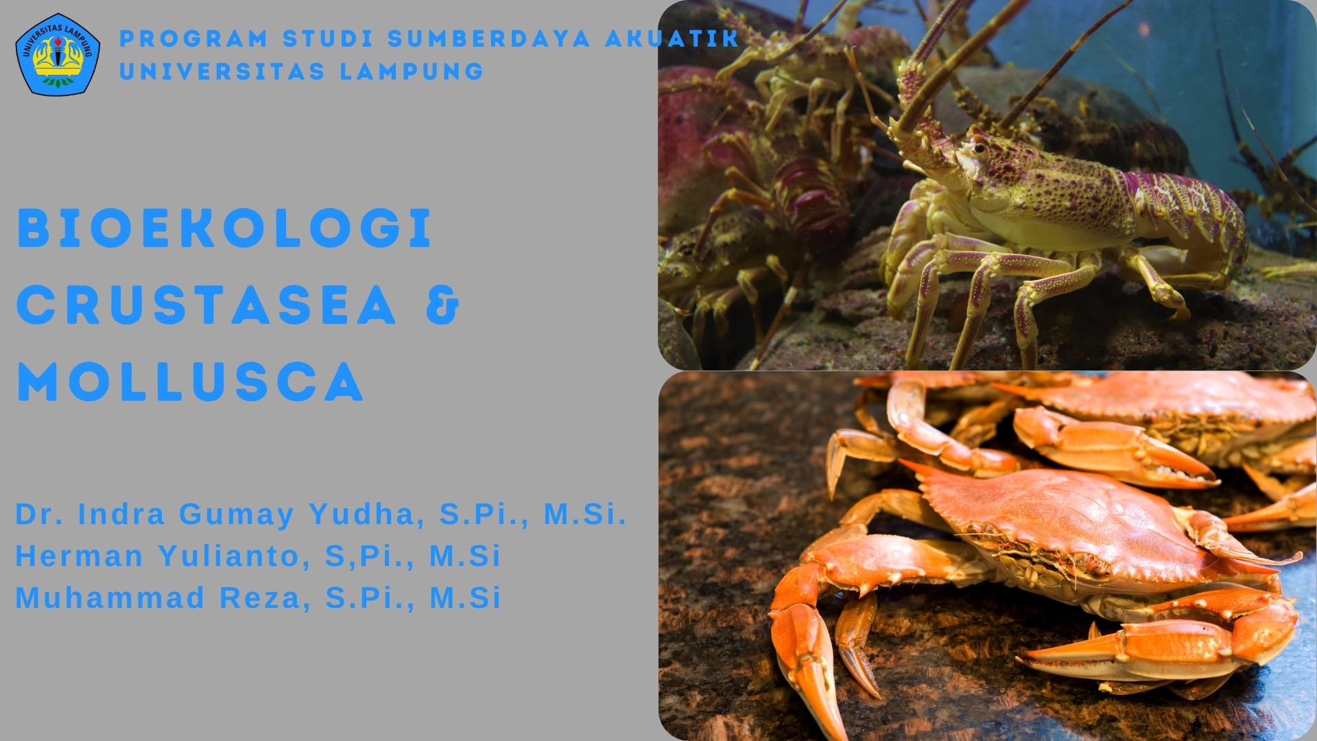 SDA_Bioekologi Krustasea dan Moluska_Semester Genap 2022-2023
