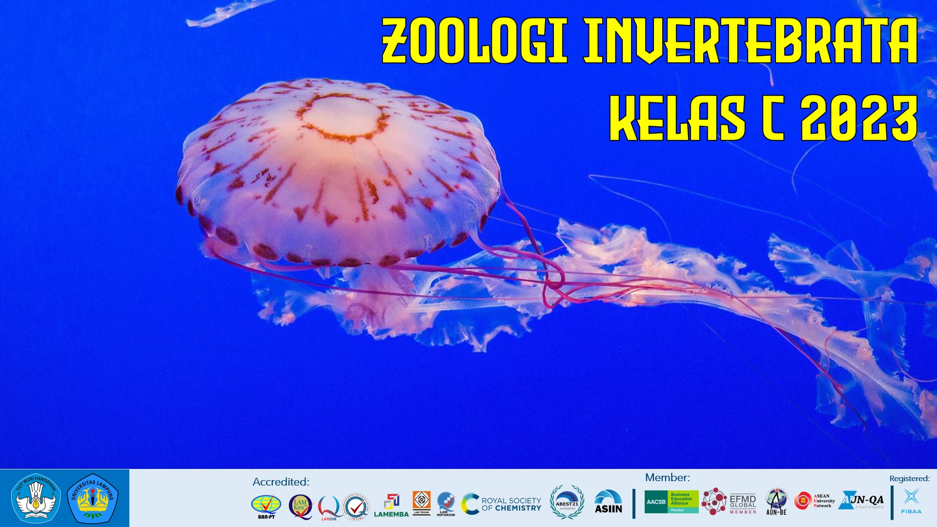 BIO620111-ZOOLOGI INVERTEBRATA C 2023