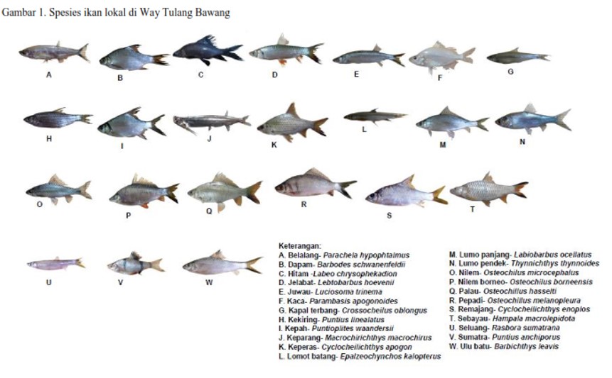 SDA_Konservasi Sumberdaya Ikan Lokal_Genap 2022/2023