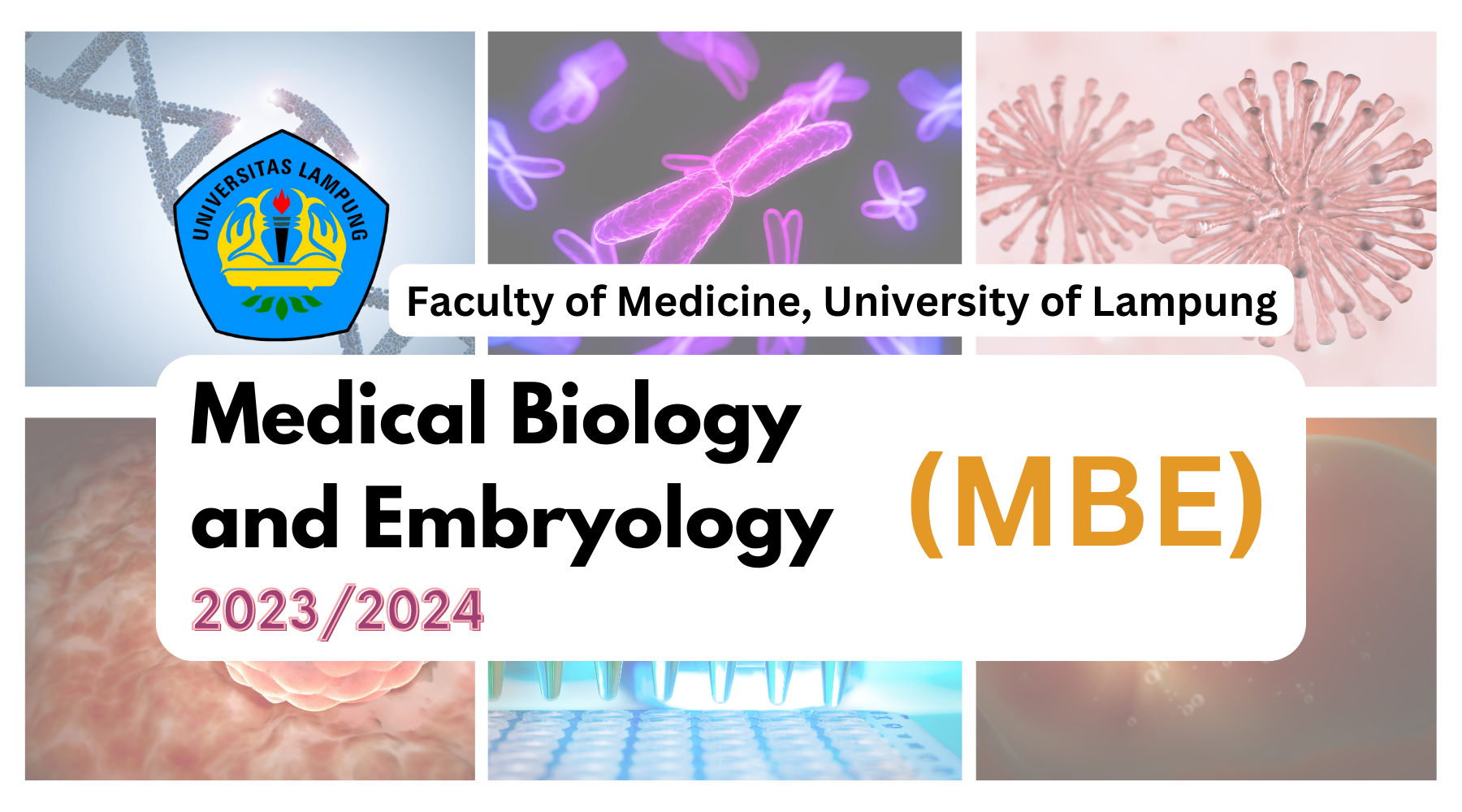 Medical Biology and Embryology (MBE) 2023/2024
