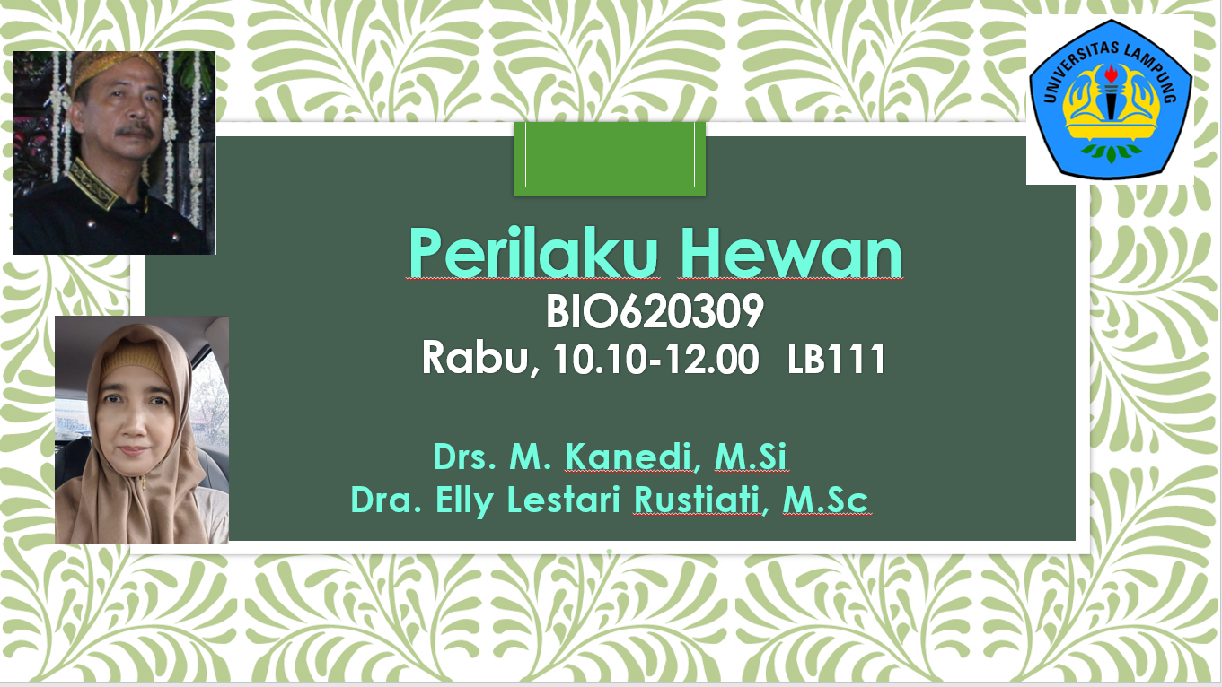 Perilaku Hewan
