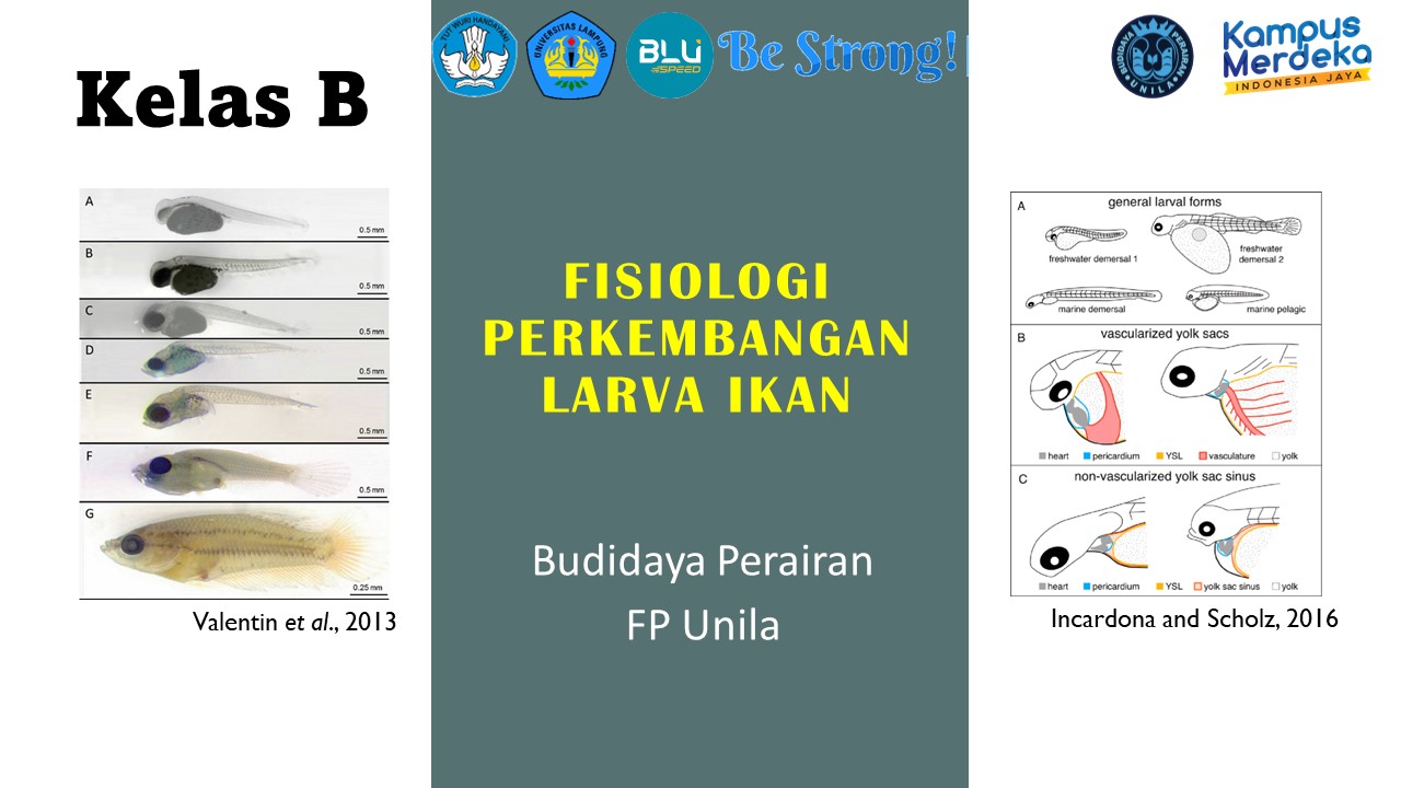 PSBDI Fisiologi Perkembangan Larva Ikan Kelas B Ganjil 2023/2024