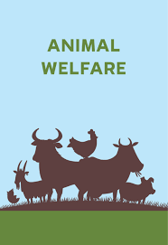 Kesejahteraan Ternak NTP A