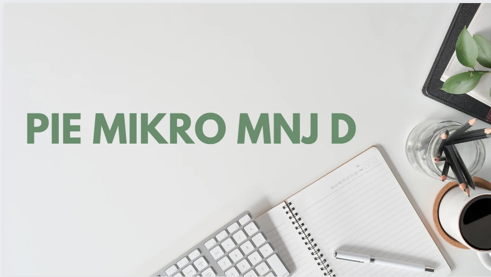 PIE Mikro MNJ D
