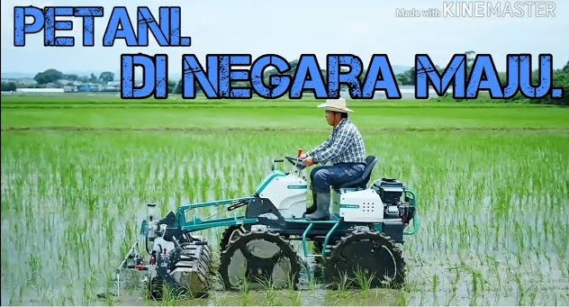 MK. PTP KLS. A  2023/2024