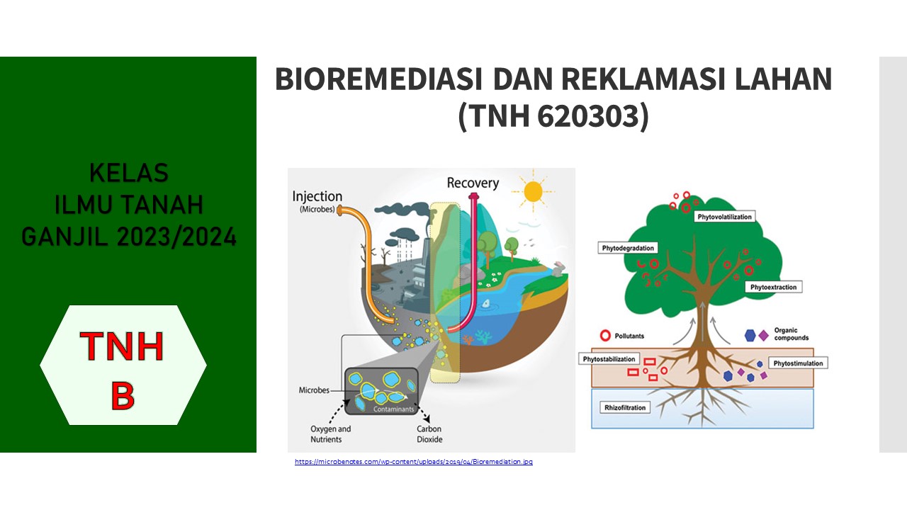 PSIT_BIOREMEDIASI DAN REKLAMASI LAHAN_KELAS TNH B_GANJIL 2023/2024