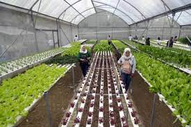 MK. PTP Kls. C  TA 2023/2024