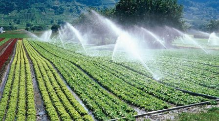 TEKNIK PENGELOLAAN AIR TANAMAN