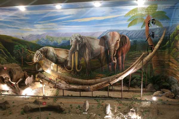 PSPS_INDONESIA MASA PRASEJARAH_ SEJ620103_KELAS A_SEMESTER GANJIL 2023/2024