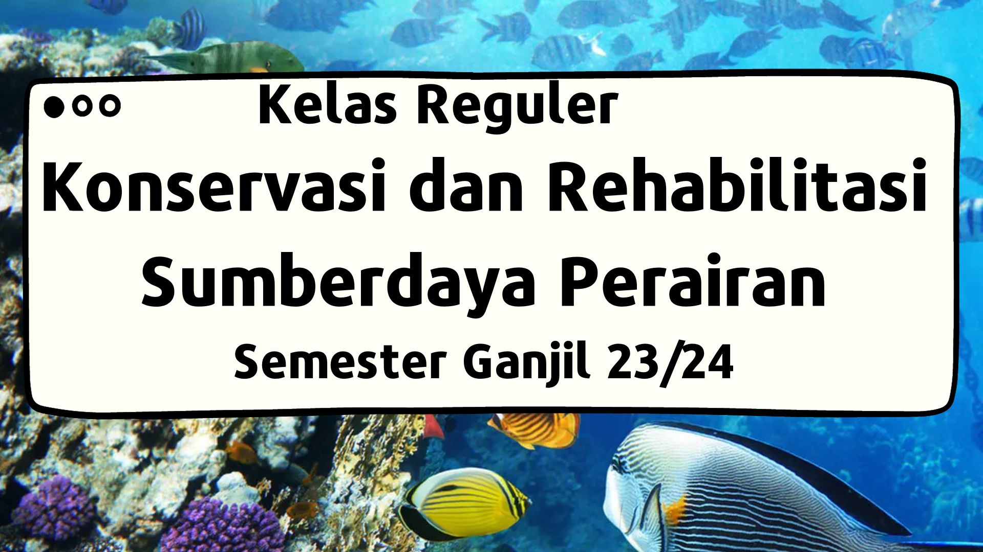 Konservasi dan Rehabilitasi Sumberdaya Perairan