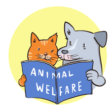 Kesejahteraan Ternak NTP B