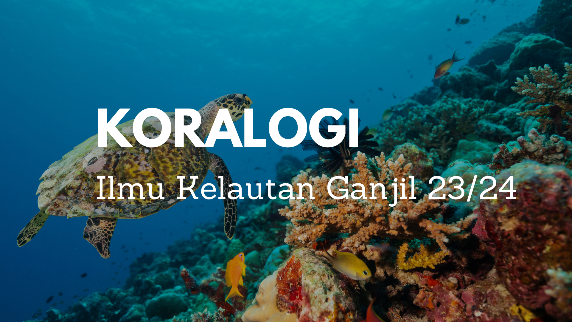 Koralogi Ganjil 23/24