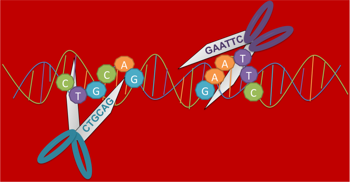 Bioteknologi Proteksi Tanaman_Genap 23/24 PTN A