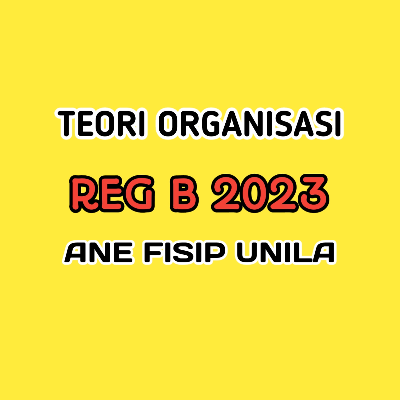 TEORI ORGANISASI REG B