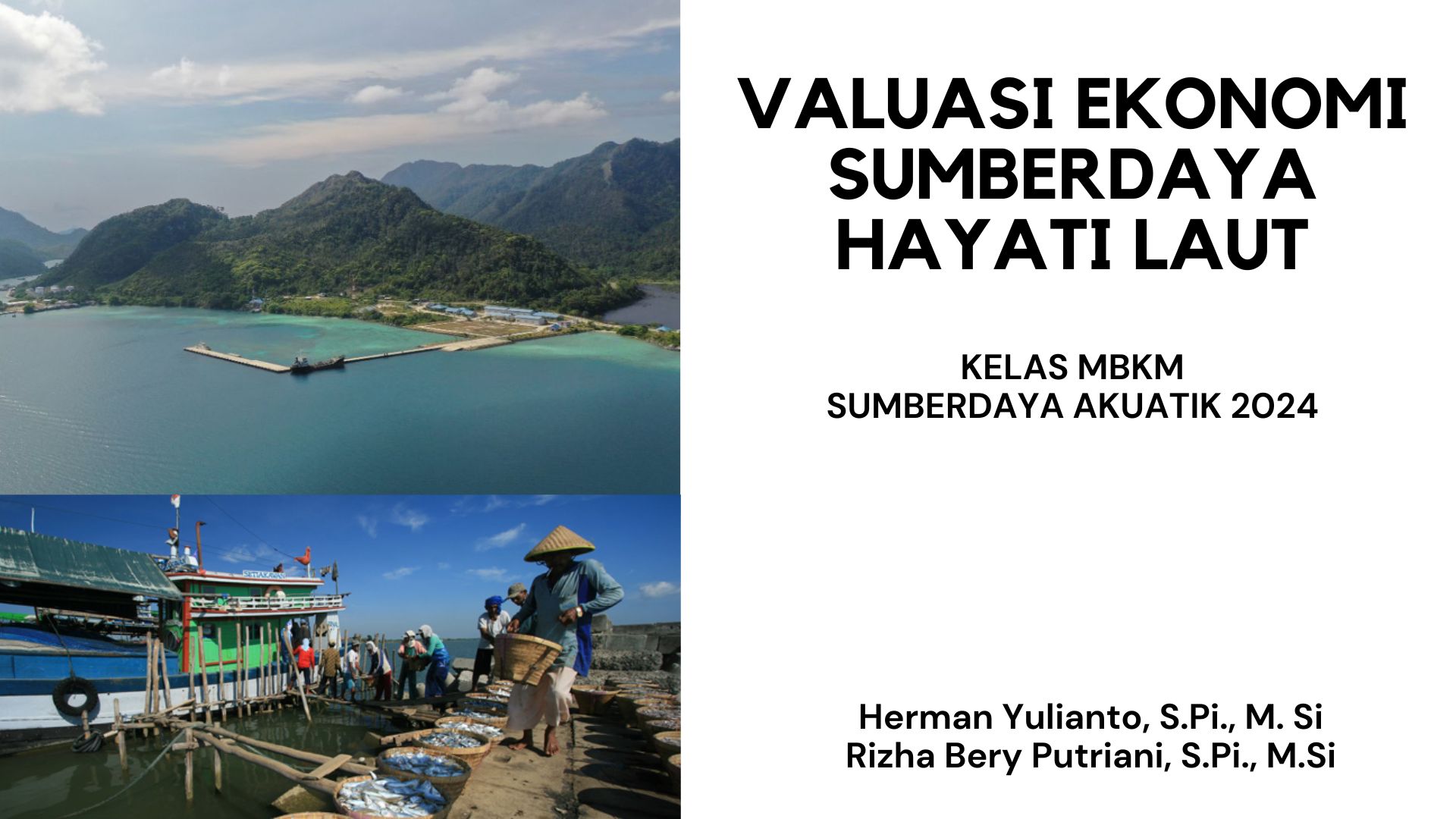 Valuasi Ekonomi SD Hayati Laut