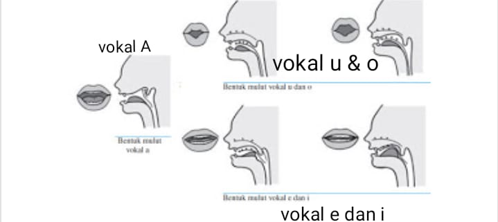 Attachment IMG-20201026-WA0102.jpg