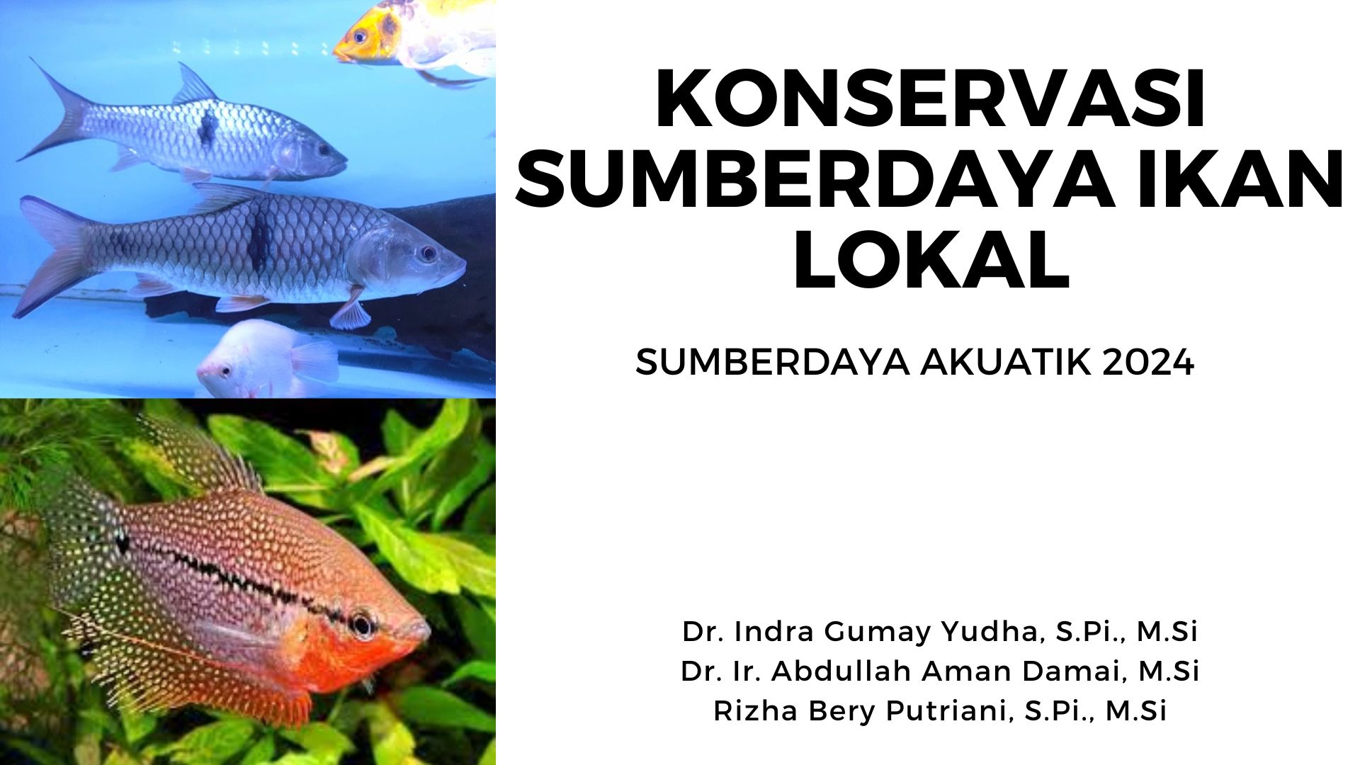 Konservasi Sumberdaya Ikan Lokal