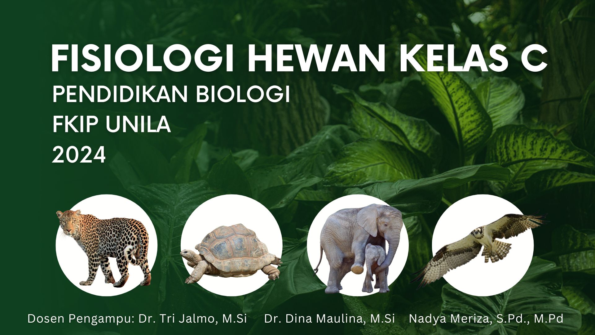 PSPB_FISIOLOGI HEWAN_KELAS C_GENAP_2023/2024