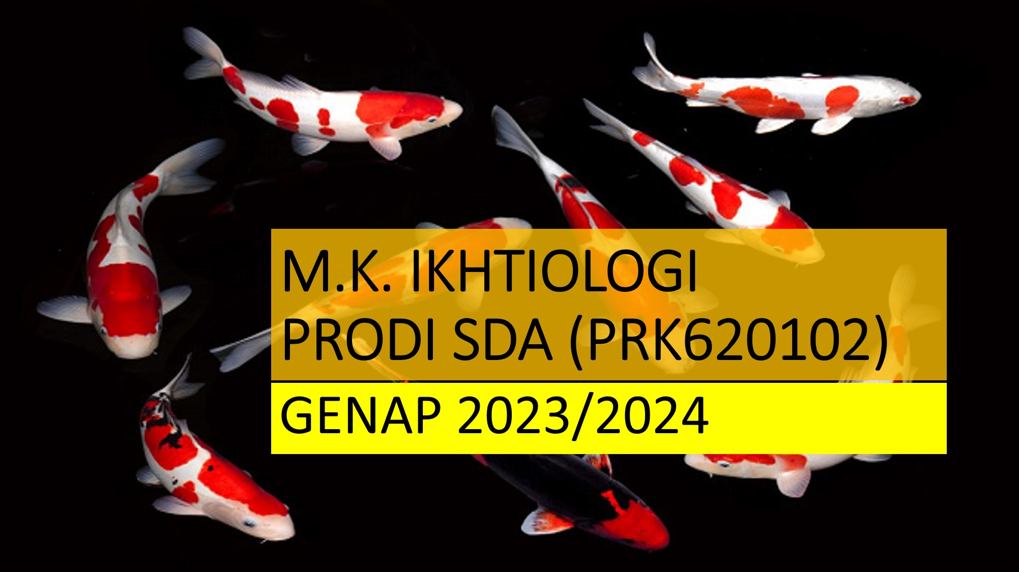 Ikhtiologi SDA Genap 2023/2024